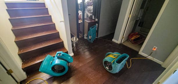 Best 24-hour water damage restoration  in Richgrove, CA