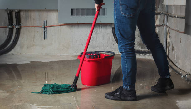 Best Flood restoration services  in Richgrove, CA