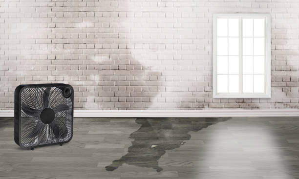 Best 24/7 water damage repair  in Richgrove, CA