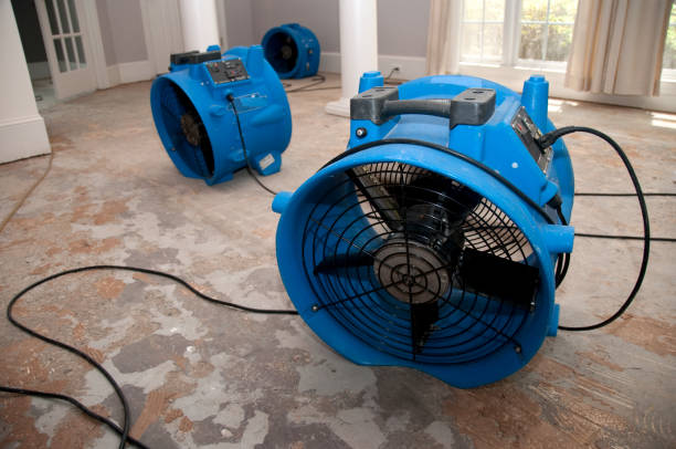Best 24/7 water damage repair  in Richgrove, CA