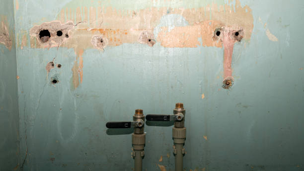 Best Fire Damage Restoration  in Richgrove, CA